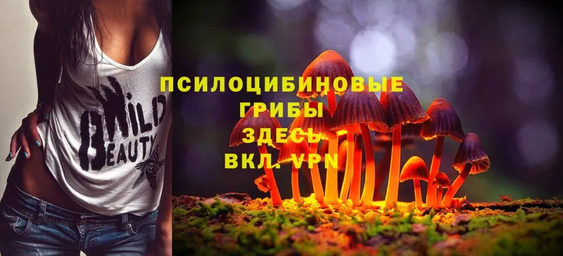 Галлюциногенные грибы Cubensis  где продают наркотики  Красавино 